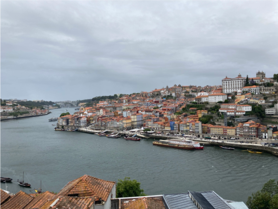Blick auf das nördliche Douro-Ufer in Porto.